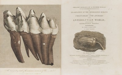 Lot 103 - Parkinson (James). Organic Remains of a Former World, mixed editions, 1808-1811