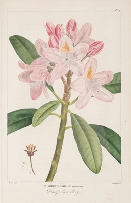 Lot 101 - Michaux (André). Histoire des arbres forestiers de l'Amérique septentrionale, 1st edition, 1810-1812
