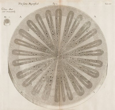 Lot 95 - Grew (Nehemiah). The Anatomy of Plants, 1st edition, 1682