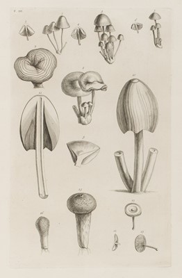 Lot 111 - Vaillant (Sebastien). Botanicon Parisiense ou Denombrement par ordre alphabetique des Plante, 1727