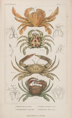 Lot 96 - Hulme (F. Edward). Familiar Wild Flowers, 5 volumes, London, 1890-1894