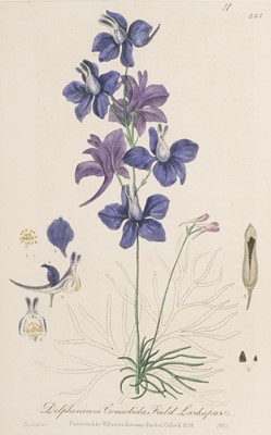 Lot 86 - Baxter (William). British Phaenogamous Botany, 1834-1843