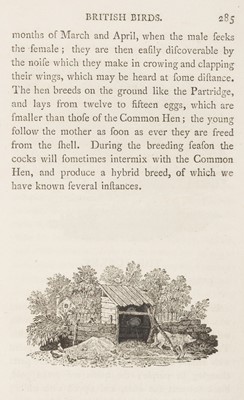 Lot 87 - Bewick (Thomas). History of British Birds [land and water birds], 2 vols., 1st & 2nd eds., 1797-1805