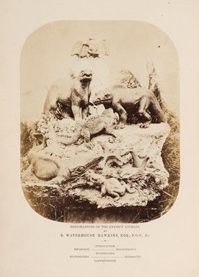 Lot 165 - Unger (Franz). Ideal Views of the Primitive World, 1st UK edition, circa 1859