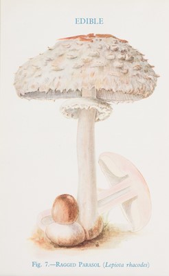 Lot 537 - Fungi. A collection of approximately 80 prints, mostly early 20th century