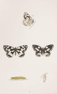 Lot 558 - Natural History. A collection of approximately 85 prints, 19th & early 20th-century