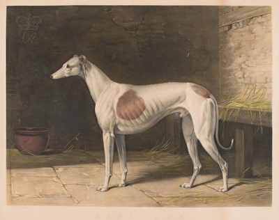 Lot 567 - Prints & engravings. A collection of approximately 115 prints, mostly 19th-century