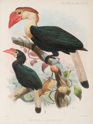 Lot 122 - Hay, Arthur, 9th Marquess of Tweeddale. ‘A List of the Birds Known to Inhabit the Philippine Archipelago’, 1875