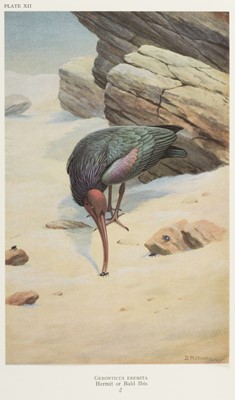 Lot 130 - Meinertzhagen (Colonel R.). Birds of Arabia, Edition De Luxe, 1980