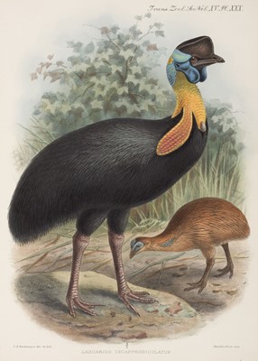 Lot 138 - Rothschild (Walter). A Monograph of the Genus Casuarius..., 1900