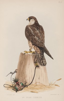 Lot 139 - Salvin (Francis Henry and William Brodrick). Falconry in the British Isles, 1873
