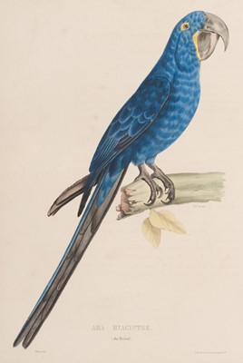 Lot 152 - Bourjot Saint-Hilaire (Alexandre). Histoire Naturelle des Perroquets, 1837-1838