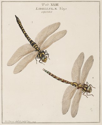 Lot 154 - Harris (Moses). An Exposition of English Insects, 2nd edition, 1786