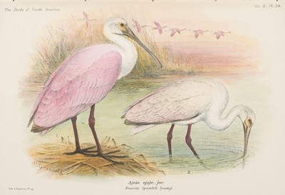 Lot 104 - Brabourne (Wyndham and Charles Chubb). The Birds of South America, 1st edition, [1913]-1917