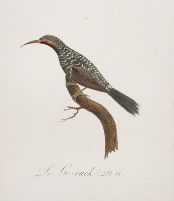 Lot 514 - Birds. Audebert (J. B. & L. J. Veillot), A collection of 90 engravings, circa 1802