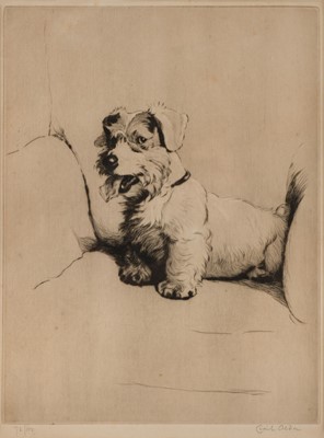 Lot 509 - Aldin (Cecil, 1870 - 1935). 'Ready for Mischief'
