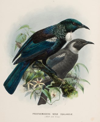 Lot 105 - Buller (Walter Lawry). A History of the Birds of New Zealand, 1st edition, 1873