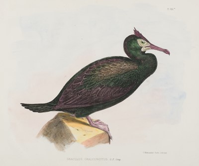 Lot 119 - Gray (George Robert). Zoology of the Voyage of HMS of Erebus and Terror, Birds, 1846-1875