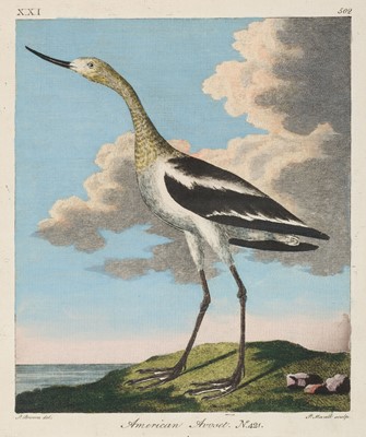 Lot 136 - Pennant, Thomas. Arctic Zoology, volumes I-II (of 3) only, 2nd edition, 1792