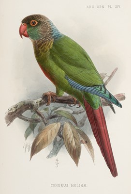 Lot 143 - Sclater (Philip Lutley, & William Henry Hudson). Argentine Ornithology..., 1888-9