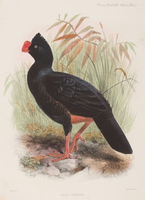 Lot 141 - Sclater (Philip Lutley). On the Curassows now or lately living in the Society's Gardens, 1875-1879
