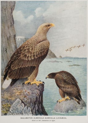 Lot 146 - Swann (H. Kirke). A Monograph of the Birds of Prey, 1st edition, 1930-1945