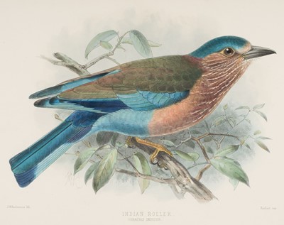 Lot 110 - Dresser (Henry Eeles). A Monograph of the Coraciidae, 1st edition, 1893, presentation copy
