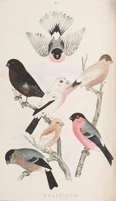 Lot 134 - Mosley (Seth Lister). A History of British Birds, 1st edition, superior issue, [1881-1892]