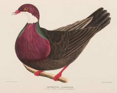 Lot 128 - Mathews (Gregory M.). The Birds of Norfolk & Lord Howe Islands..., 1928