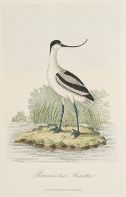 Lot 117 - Graves (George). British Ornithology, 3 volumes, 2nd edition, 1821
