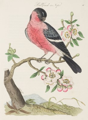Lot 101 - Bolton (James). Harmonia Ruralis. A Natural History of British Song Birds, 2 vols., 2nd ed., 1824