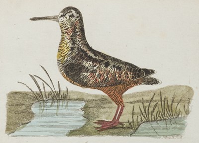 Lot 149 - Walcott (John). Synopsis of British Birds, 1st edition, 2 volumes, 1789