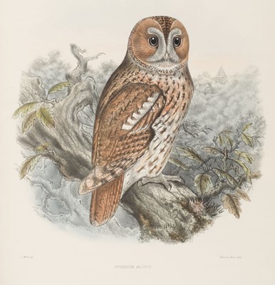 Lot 151 - Wyatt (Claude Wilmott). British Birds: Being Coloured Illustrations, 1st edition, 1894-1899