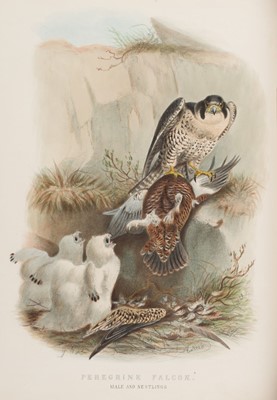 Lot 102 - Booth (Edward Thomas). Rough Notes on the Birds Observed..., 3 vols., 1881-87