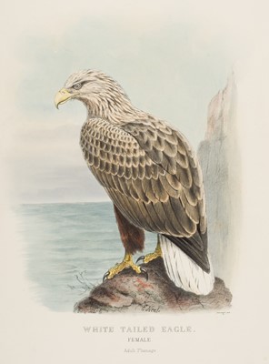 Lot 103 - Booth (Edward Thomas). Rough Notes on the Birds, part 1, 1881, and Blackburn, Birds, 1862