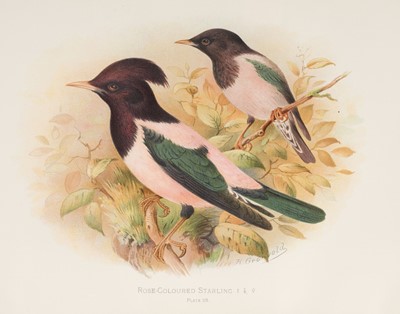 Lot 106 - Butler (Arthur Gardiner). Birds of Great Britain and Ireland. Order Passeres, 1907-1908
