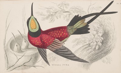 Lot 127 - Martin (William Charles Linnaeus). A General History of Humming-Birds, 1st edition, 1852