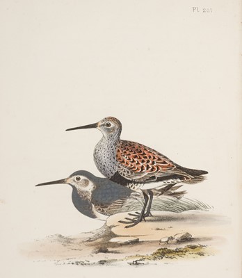Lot 132 - Meyer (H. L.). Coloured Illustrations of British Birds…, 7 vols, 2nd ed, London, 1857
