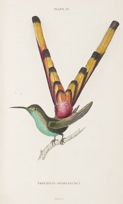 Lot 125 - Jardine (William). The Naturalist's Library, 9 volumes in 6, 1833-1843