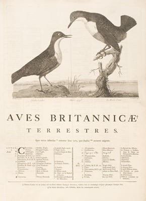 Lot 148 - Tunstall (Marmaduke). Ornithologia Britannica, 1771