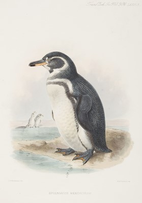 Lot 140 - Salvin (Osbert). On the Avifauna of the Galapagos Archipelago, 1876