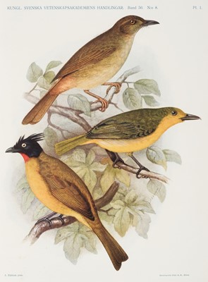Lot 120 - Gyldenstolpe (Nils). Birds Collected by the Swedish Zoological Expedition to Siam, 1913-1916