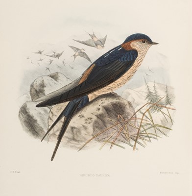 Lot 144 - Sharpe & Wyatt. A Monograph of the Hirundinidae, 2 volumes, 1st edition, 1885-94