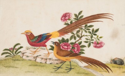 Lot 526 - Chinese Pith Paintings. A collection of 12 paintings, mid 19th-century