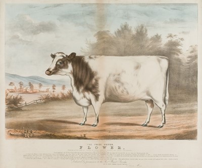 Lot 556 - Moody (C.). The Prize Heifer Flower..., published in Boston: Thos. Moses, circa 1850