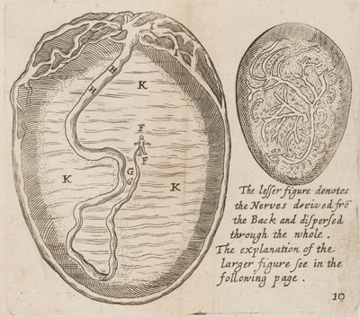 Lot 242 - English Midwife. The English Midwife Enlarged, 1682