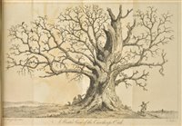 Lot 72 - Evelyn, John