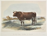 Lot 193 - Baudement, Emile