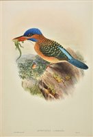 Lot 199 - Gould, J. & E.