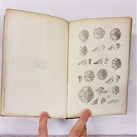 Lot 141 - Darwin (Charles).